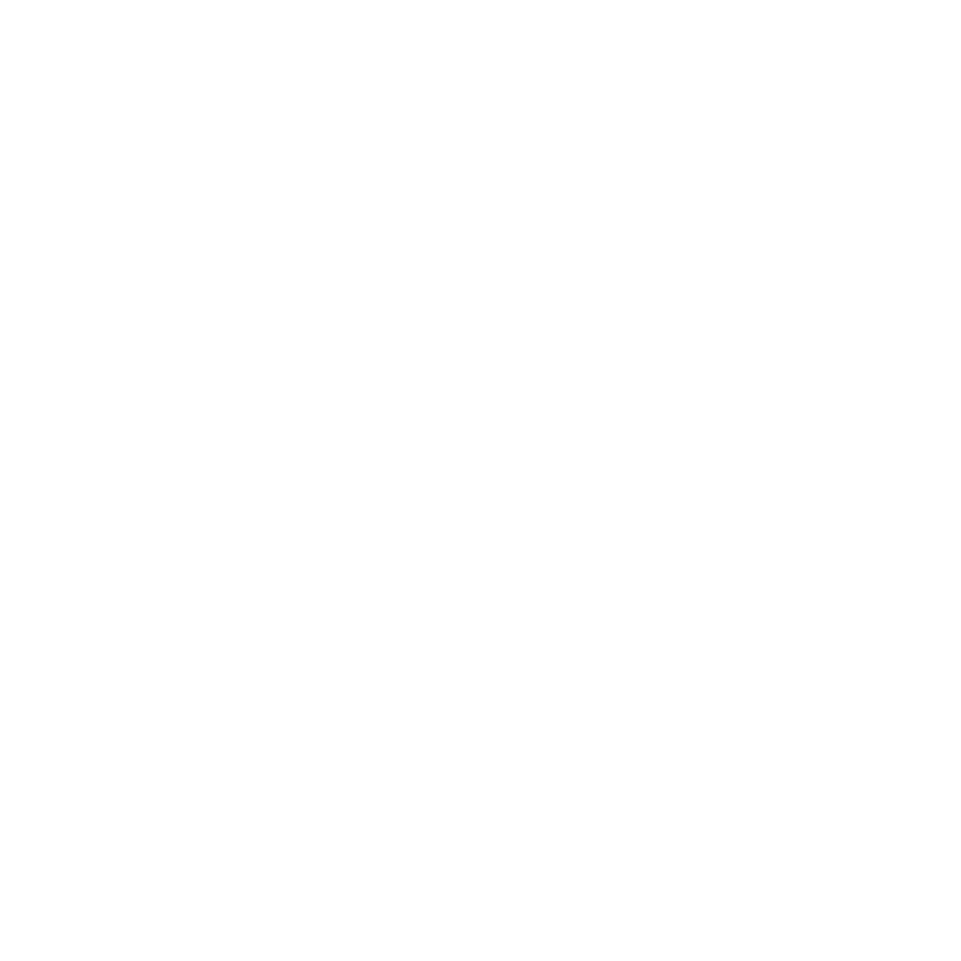 PERIFACT logo mono white