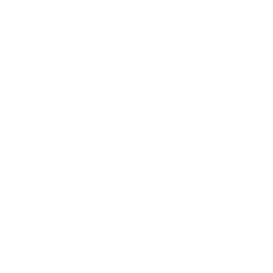 PERIFACT logo mono white